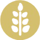 Gluten